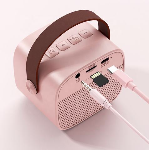Portable Bluetooth Karaoke Speaker And Wireless Microphone