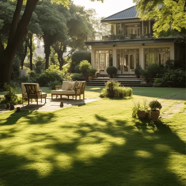 Evergreen Dwarf Grass Seed.